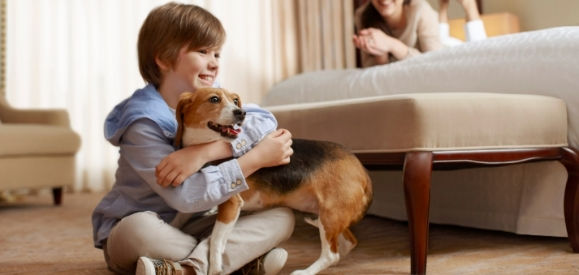 Pet Friendly Hotel In San Francisco Sheraton Fisherman S Wharf Sheraton Fisherman S Wharf Hotel Pet Friendly In San Francisco